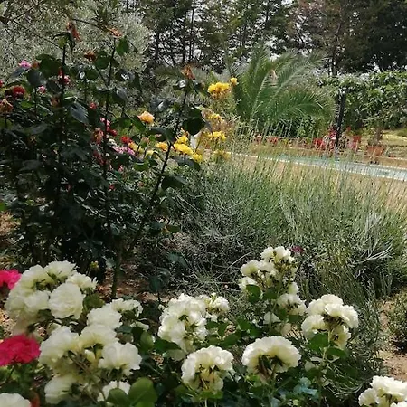 A Corner Of Paradise In Mystical Umbria With Private Pool